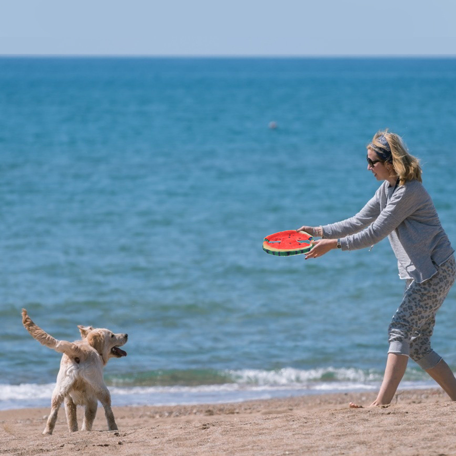 Flying Disc Dog Training Toy - 1개입, 애완동물용 인공 수박 모양 플라잉