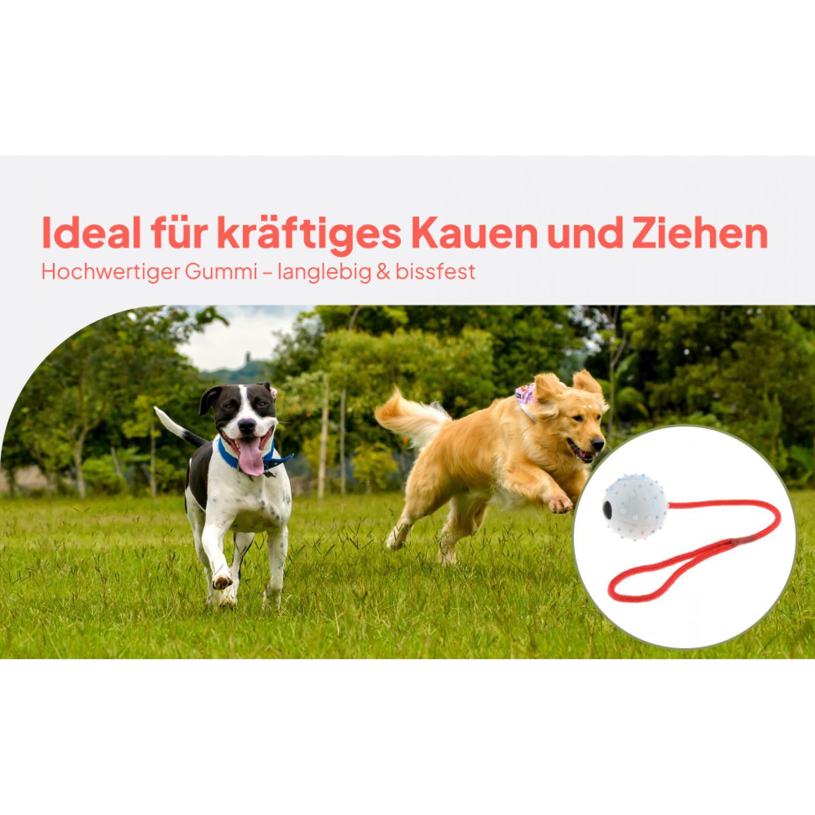 Rubber Treat Dispensing Dog Toy - 반려동물 훈련용 장난감 부드러운 고무 씹는