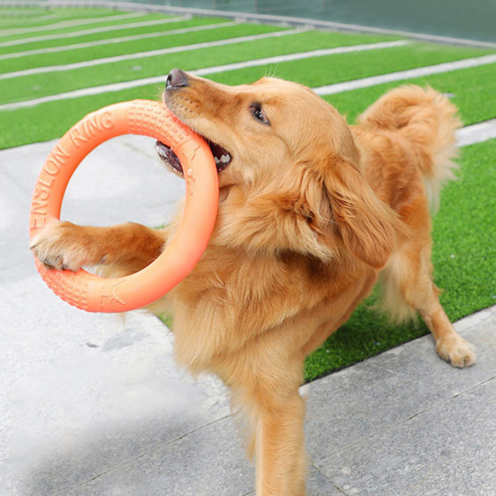 반려동물 플라잉 디스크 훈련 링 풀러, EVA 인터랙티 - Suction Cup Dog Tug Toy 리뷰 및 가격