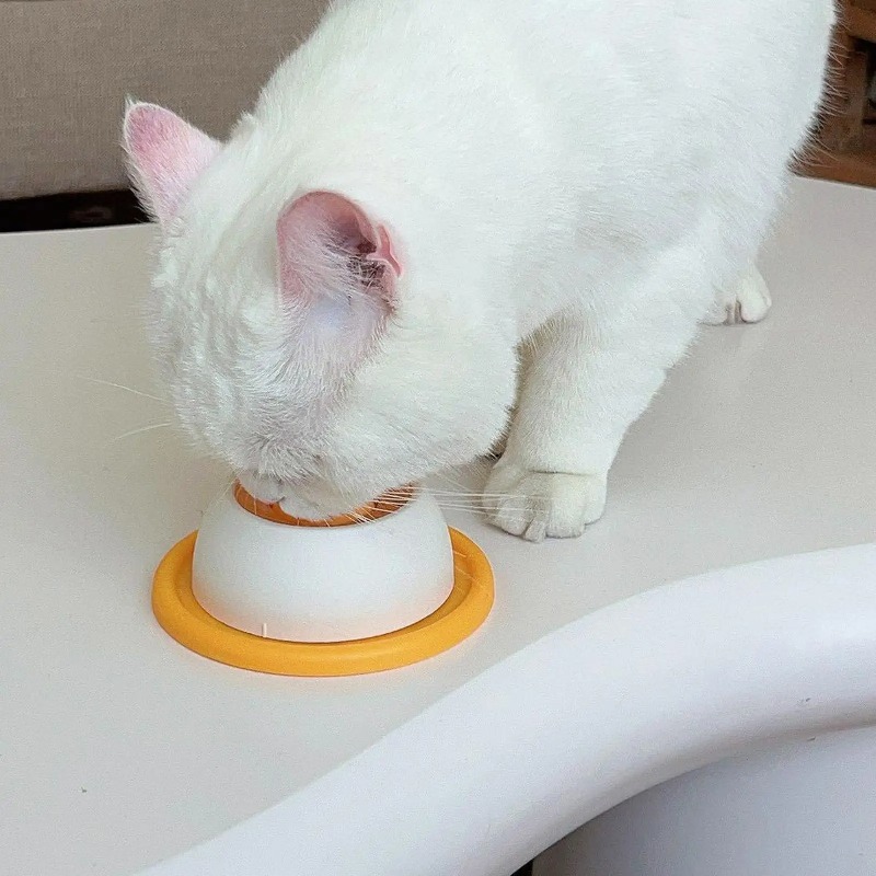 반려동물 슬로우 푸드볼 강아지 고양이 핥는 장난감 미끄 - Dog Puzzle Feeder Toy 리뷰 및 가격