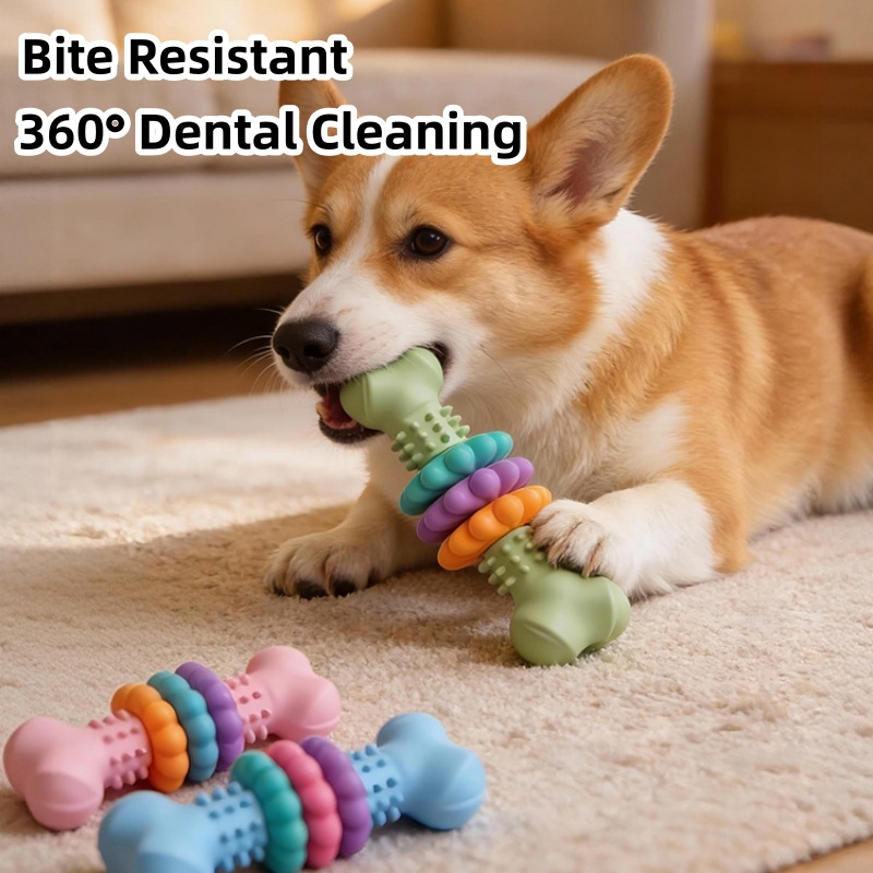 튼튼한 TPR 소재 강아지 씹는 장난감 뼈 모양 내구성 - Teeth Cleaning Dog Chew Bone 리뷰 및 가격