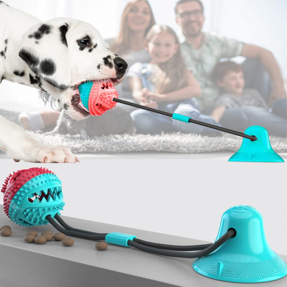 공격적인 씹는 습관을 가진 강아지를 위한 강아지 씹는  - Suction Cup Dog Tug Toy 리뷰 및 가격