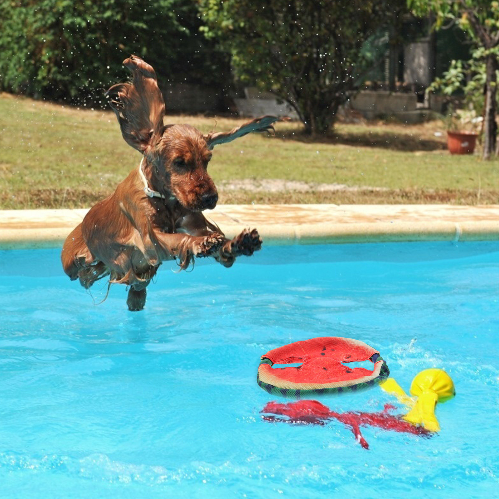 1개입, 애완동물용 인공 수박 모양 플라잉 디스크, 강 - Flying Disc Dog Training Toy 리뷰 및 가격