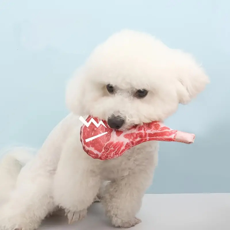 시뮬레이션 스테이크 모양 강아지 장난감 삑삑이 놀이용  - Teeth Cleaning Dog Chew Bone 리뷰 및 가격