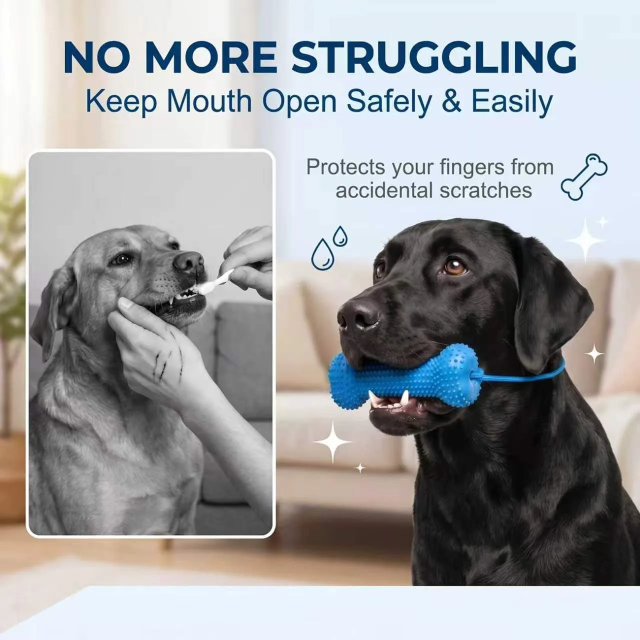 재사용 가능한 강아지용 씹는 장난감, 고무 뼈 모양,  - Teeth Cleaning Dog Chew Bone 리뷰 및 가격