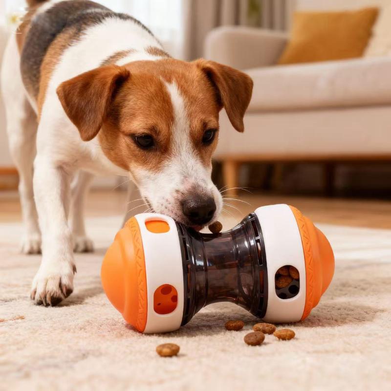 1개입 츄 투스 헬시볼 모든 품종의 강아지에게 적합한  - Rubber Treat Dispensing Dog Toy 리뷰 및 가격