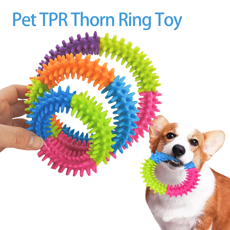 귀여운 강아지 장난감 훈련용 플라잉 디스크 애완견 링  - Flying Disc Dog Training Toy 리뷰 및 가격
