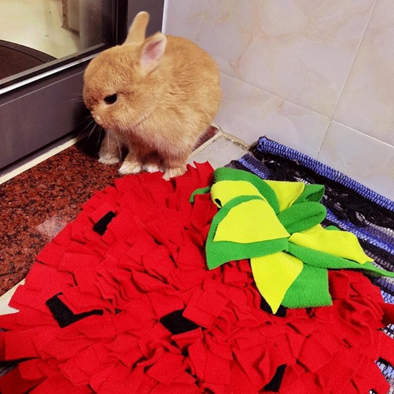 애완견 강아지와 새끼 고양이를 위한 대형 스너플 매트는 - Snuffle Mat For Dogs 리뷰 및 가격