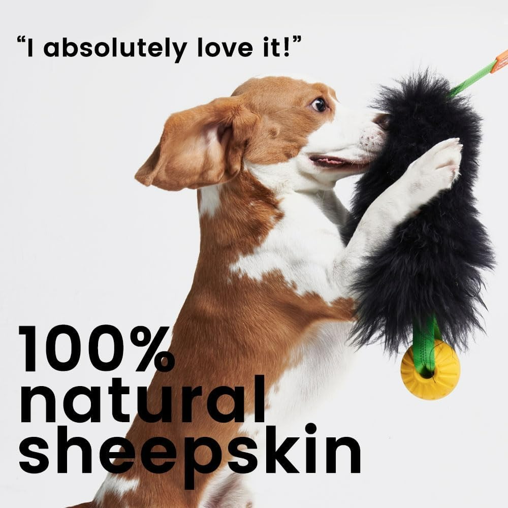 강아지 로프 장난감, 고무 공이 있는 인터랙티브 강아지 - Indestructible Dog Chew Toy 리뷰 및 가격
