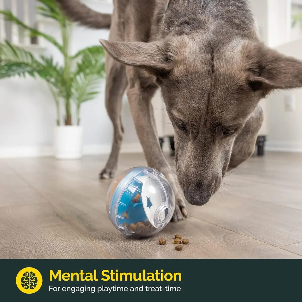 IQ 간식 공 강아지 간식 디스펜서 장난감 공 인터랙티 - Dog Puzzle Feeder Toy 리뷰 및 가격